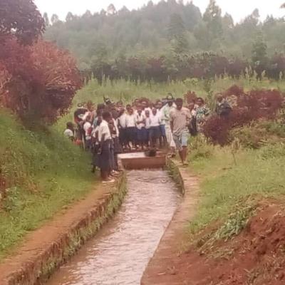 64983693 2809736895709525 2114247614810554368 N