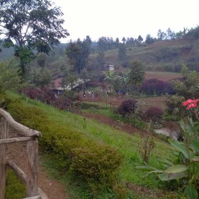 467320489 9553371584679322 5413327649514406270 N